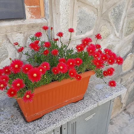 Apartament House Vittone Venaria Reale Zewnętrze zdjęcie
