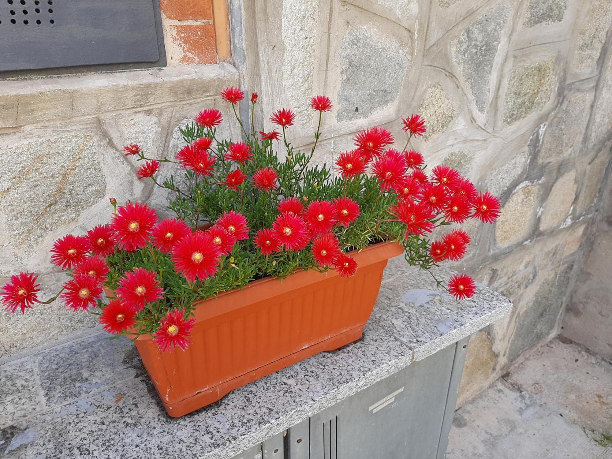 Apartament House Vittone Venaria Reale Zewnętrze zdjęcie